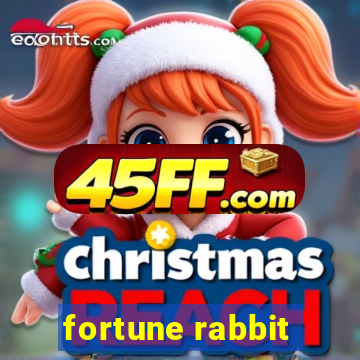 fortune rabbit - teste